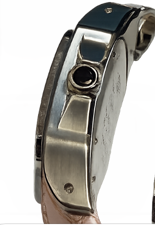 Cartier Santos 100 Panther 33 mm Pre Owned