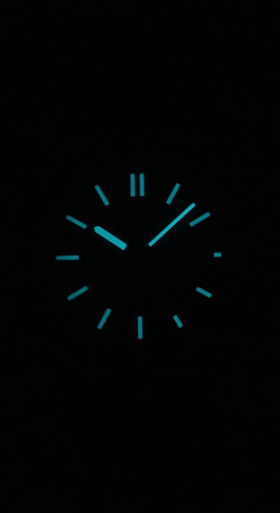 Citizen | Zenshin Mechanical NJ0180-80L